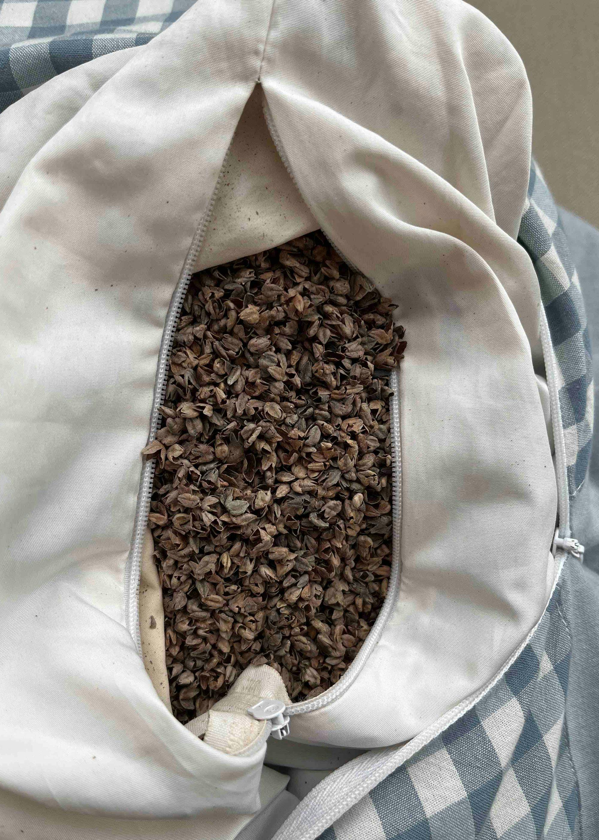 Buckwheat hulls inside a pillow