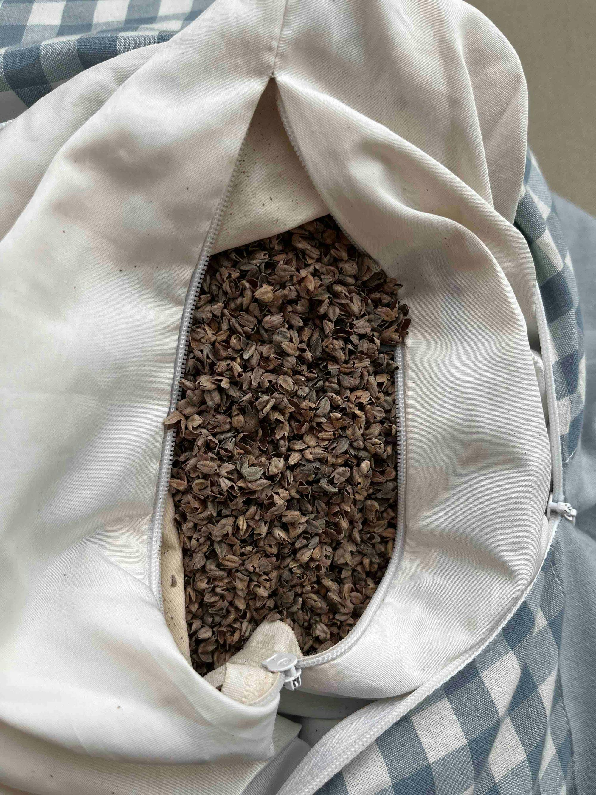 Buckwheat hull inside a buckwheat pillow